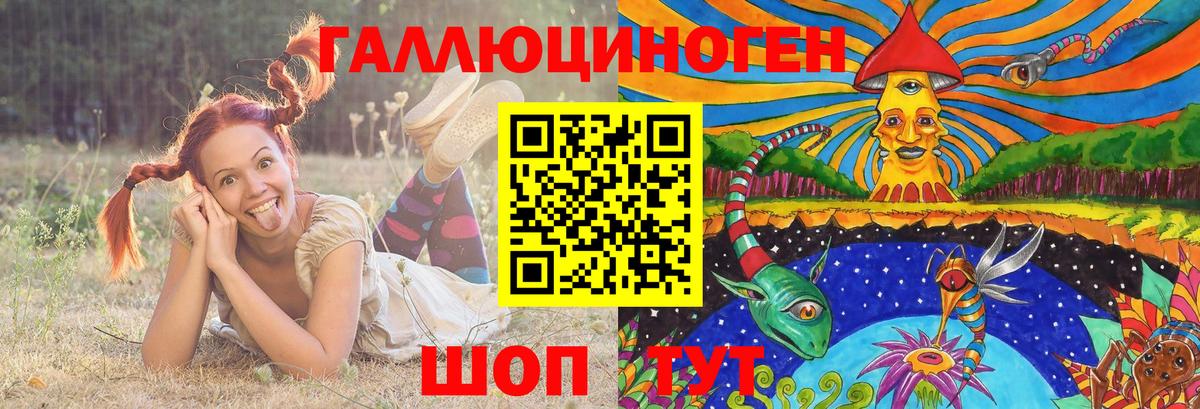 Галлюциногенные грибы Psilocybe Донецк