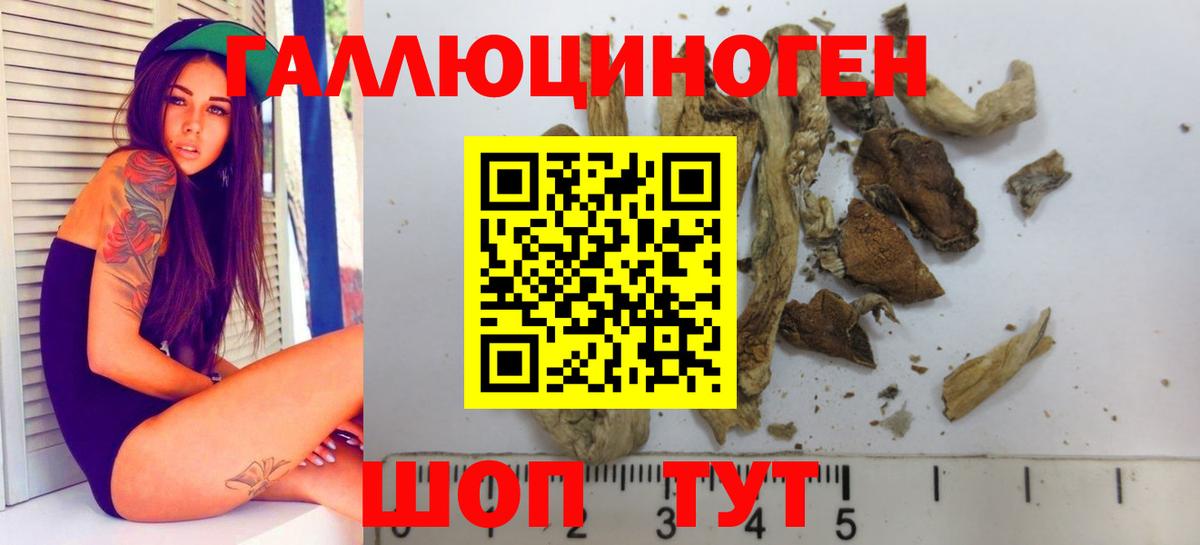 Донецк  Псилоцибиновые грибы Cubensis  Вход с VPN 